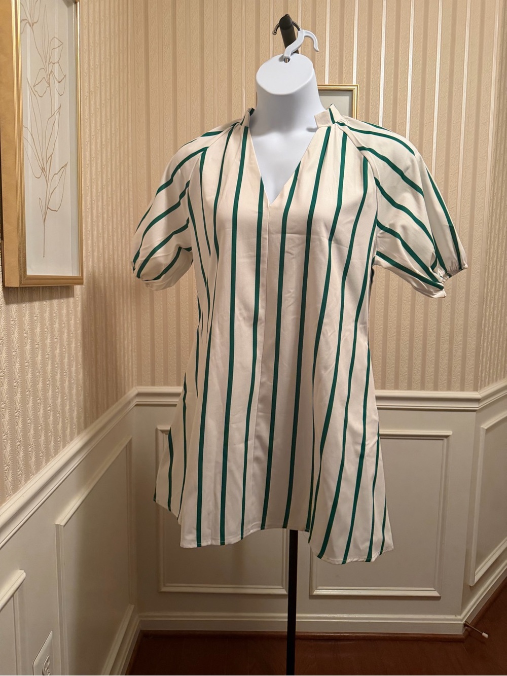 Striped V-Neck Short Sleeve Tunic Dress in Green and White NEW!!